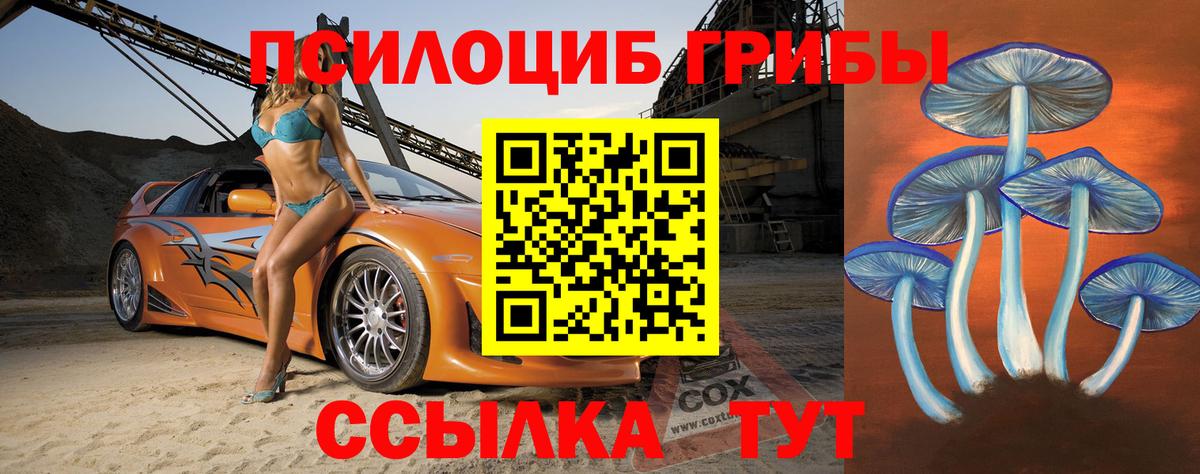 Псилоцибиновые грибы мицелий  Псилоцибиновые грибы Psilocybine cubensis  Вход с VPN  Новороссийск 