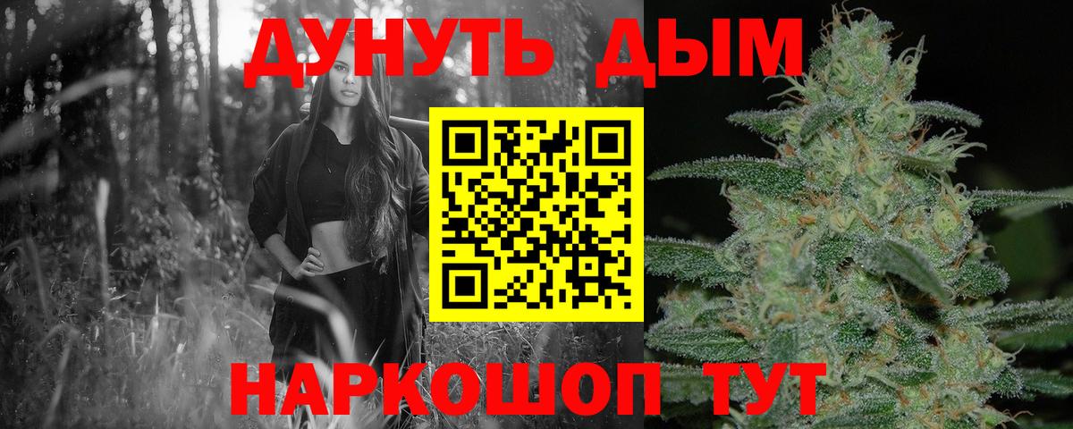 Конопля планчик Новороссийск